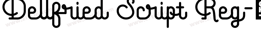 Dellfried Script Reg字体转换